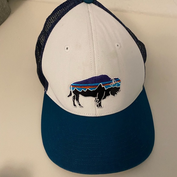 Patagonia Other - Patagonia Buffalo hat